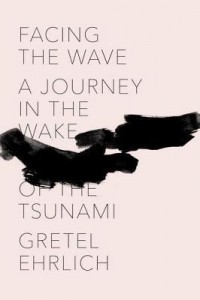 Гретель Эрлих - Facing the Wave: A Journey in the Wake of the Tsunami