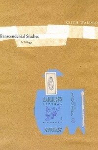 Кит Уолдроп - Transcendental Studies: A Trilogy