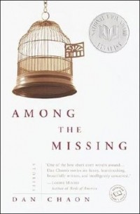 Dan Chaon - Among the Missing