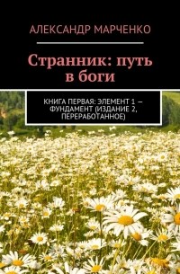 Александр Марченко - Странник: путь в боги. Книга первая: элемент 1 – фундамент 