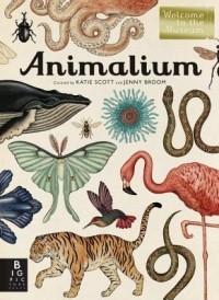 Дженни Брум - Animalium