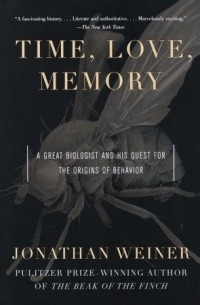 Джонатан Уэйнер - Time, Love, Memory: A Great Biologist and His Quest for the Origins of Behavior