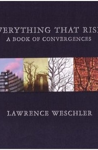 Лоуренс Уэшлер - Everything That Rises: A Book of Convergences