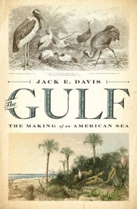 Джек Э. Дэвис - The Gulf: The Making of An American Sea