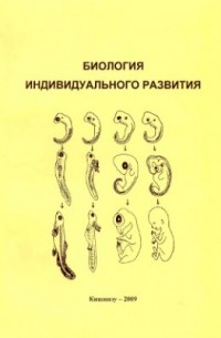 Биология индивидуального развития. Биологиюиндивидуального развития. Учебник по биологии развития. Учебник по биологии стадии развития.