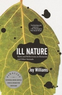 Joy Williams - Ill Nature
