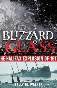 Салли М. Уокер - Blizzard of Glass: The Halifax Explosion of 1917
