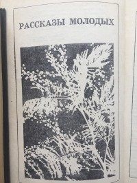  - Рассказы молодых