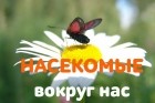 Лукьянчик Ирина - Почему кусаются осы и как избавиться от опасного соседства?