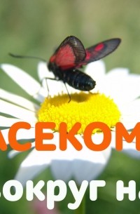 Лукьянчик Ирина - Почему кусаются осы и как избавиться от опасного соседства?