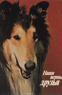 Владимир Гусев, Виталий Нехаев - Наши верные друзья (фотоальбом)