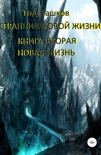 Странник новой жизни. Книга вторая. Новая жизнь