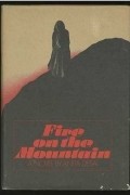 Anita Desai - Fire on the Mountain
