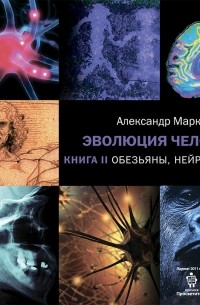 Александр Марков - Обезьяны, нейроны и душа