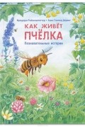 Как живет пчелка. Познавательные истории