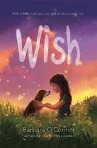 Barbara O'Connor - Wish