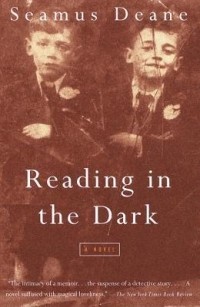 Seamus Deane - Reading in the Dark
