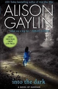 Alison Gaylin - Into the Dark