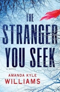 Аманда Кайл Уильямс - The Stranger You Seek