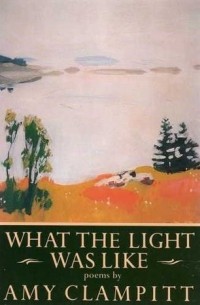 What the Light Was Like