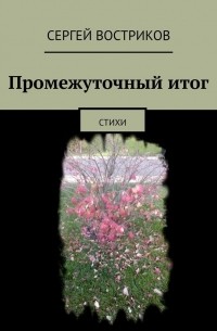 Сергей Востриков - Промежуточный итог. Стихи