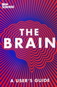 The Brain: A User's Guide