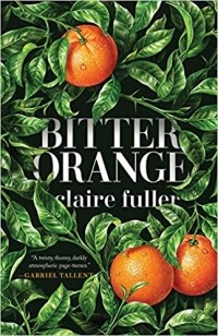 Claire Fuller - Bitter Orange