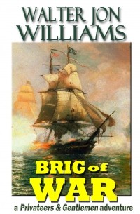 Walter Jon Williams - Brig of War