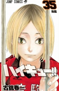 ハイキュー!! 35 / Haikyuu!!