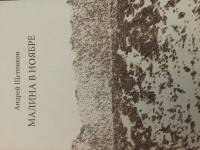 Андрей Щетников - Малина в ноябре
