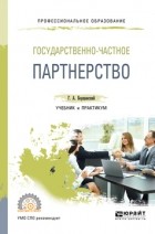 Георгий Александрович Борщевский - Государственно-частное партнерство. Учебник и практикум для СПО