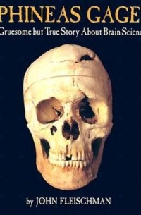 без автора - Phineas Gage: A Gruesome but True Story About Brain Science