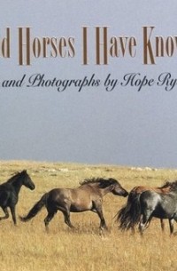 Wild Horses I Have Known