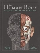  - The Human Body: A Pop-Up Guide to Anatomy
