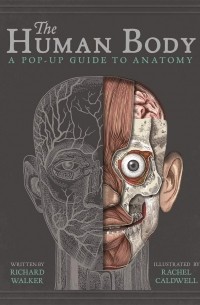 The Human Body: A Pop-Up Guide to Anatomy