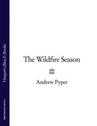 Andrew Pyper - The Wildfire Season