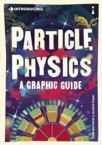  - Introducing Particle Physics: A Graphic Guide