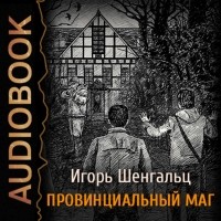 Игорь Шенгальц - Провинциальный маг. Фактор Трикстера