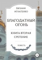 Евгений Игнатенко - Благодатный огонь, книга вторая. «Сретение»