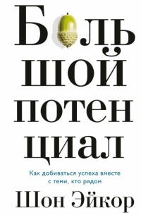 Шон Эйкор - Большой потенциал. Как добиваться успеха вместе с теми, кто рядом