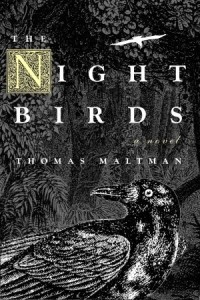 Томас Мальтман - The Night Birds
