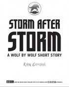 Райан Гродин - Storm After Storm