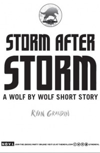 Райан Гродин - Storm After Storm