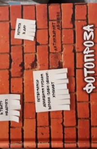 Фотопроза на поребрике