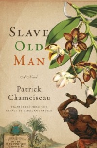 Патрик Шамуазо - Slave Old Man