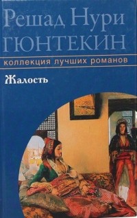 Решад Нури Гюнтекин - Жалость