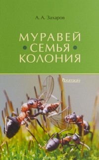 Анатолий Захаров - Муравей. Семья. Колония