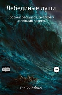 Виктор Николаевич Рубцов - Лебединые души. Сборник рассказов и маленькая повесть