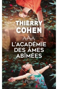 Тьерри Коэн - L'Académie des âmes abîmées