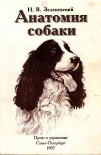 Николай Зеленевский - Анатомия собаки